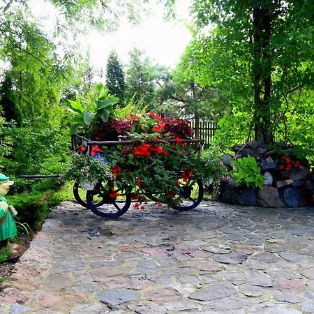 Guest house Mysliwski - B&B *